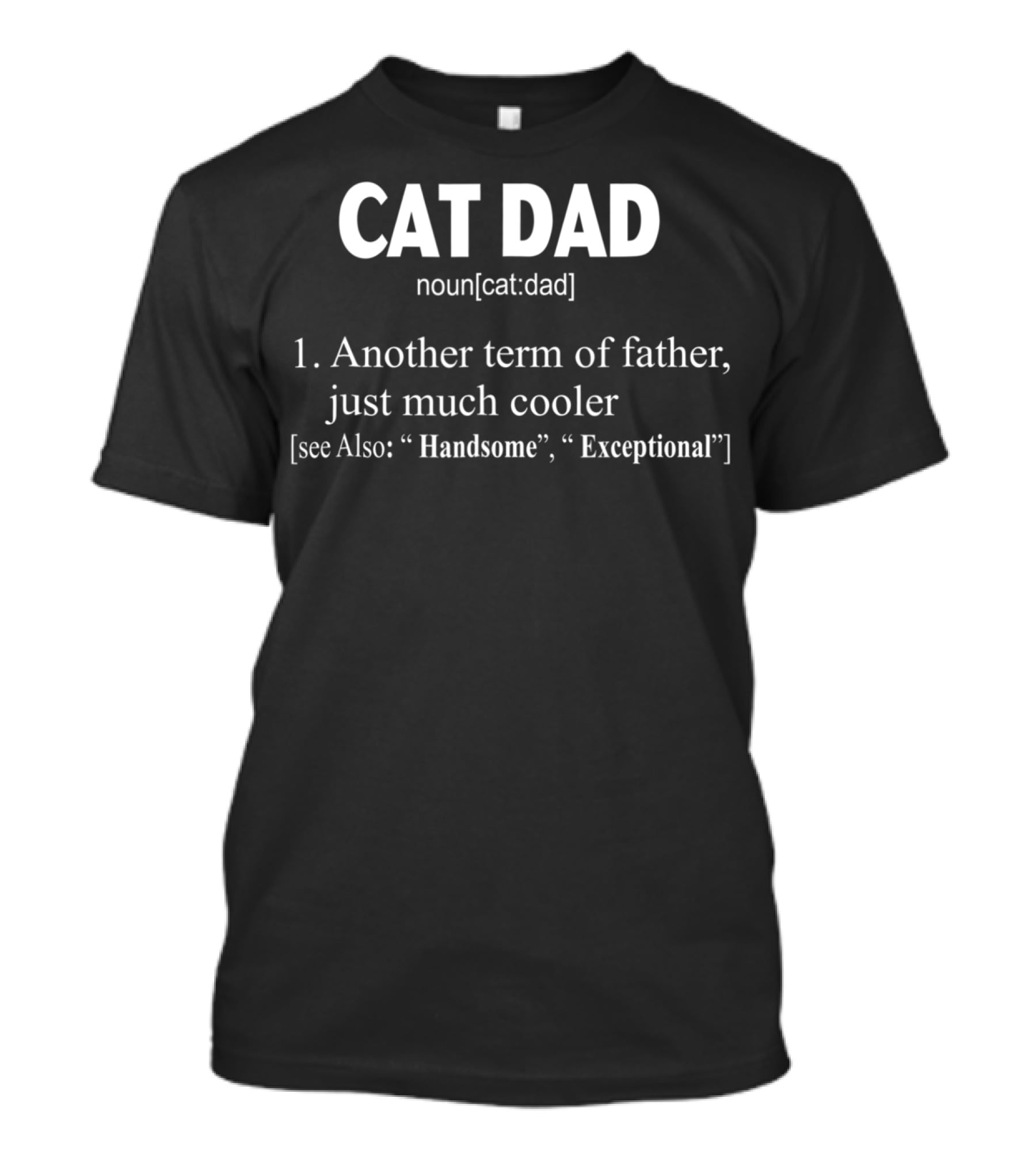 Cat Dad Definition Noun Another Term Of Father Just Much Cooler Handsome Exceptional T-Shirt