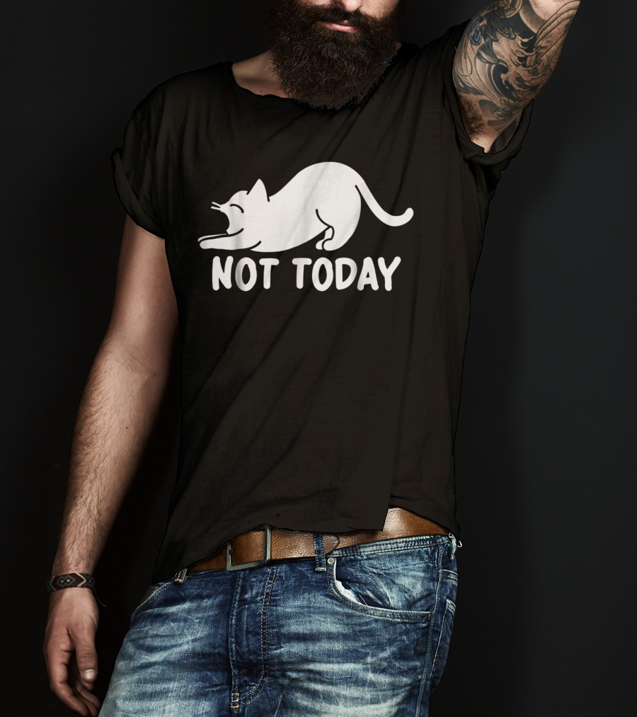 Lazy Cat Not Today Cat Lovers Cat Lady Cat T-Shirt