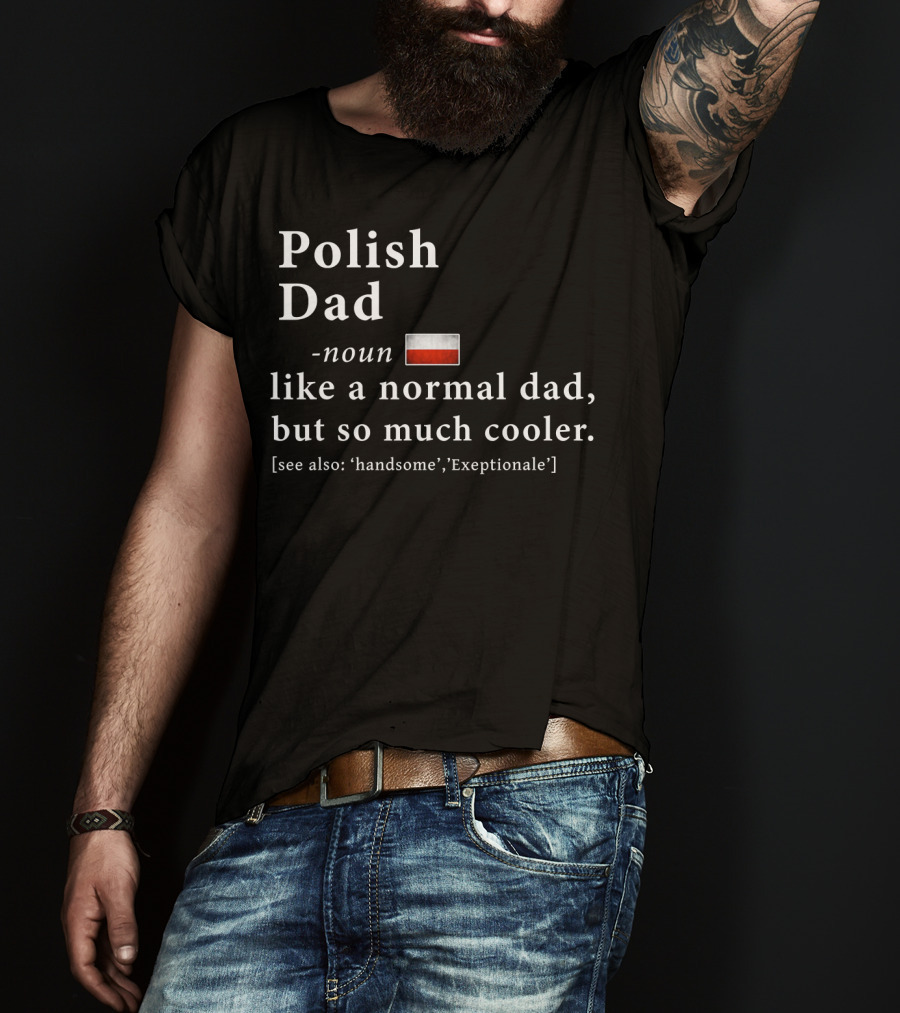 Polish Dad Noun Like A Normal Dad But So Much Cooler Handsome Exceptionale Polish Flag T-Shirt