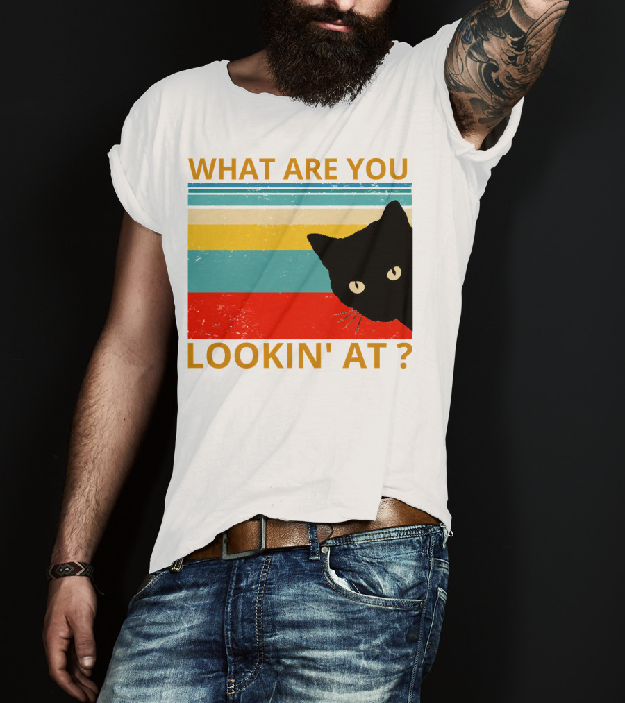 What Are You Lookin' At Black Cat Vintage Stripes T-Shirt