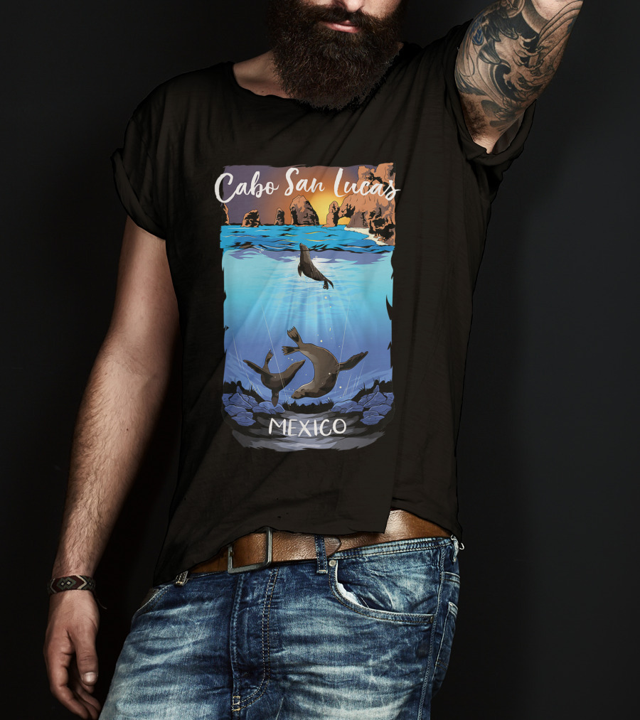 Cabo San Lucas Mexico Seals Ocean Rocks T-Shirt