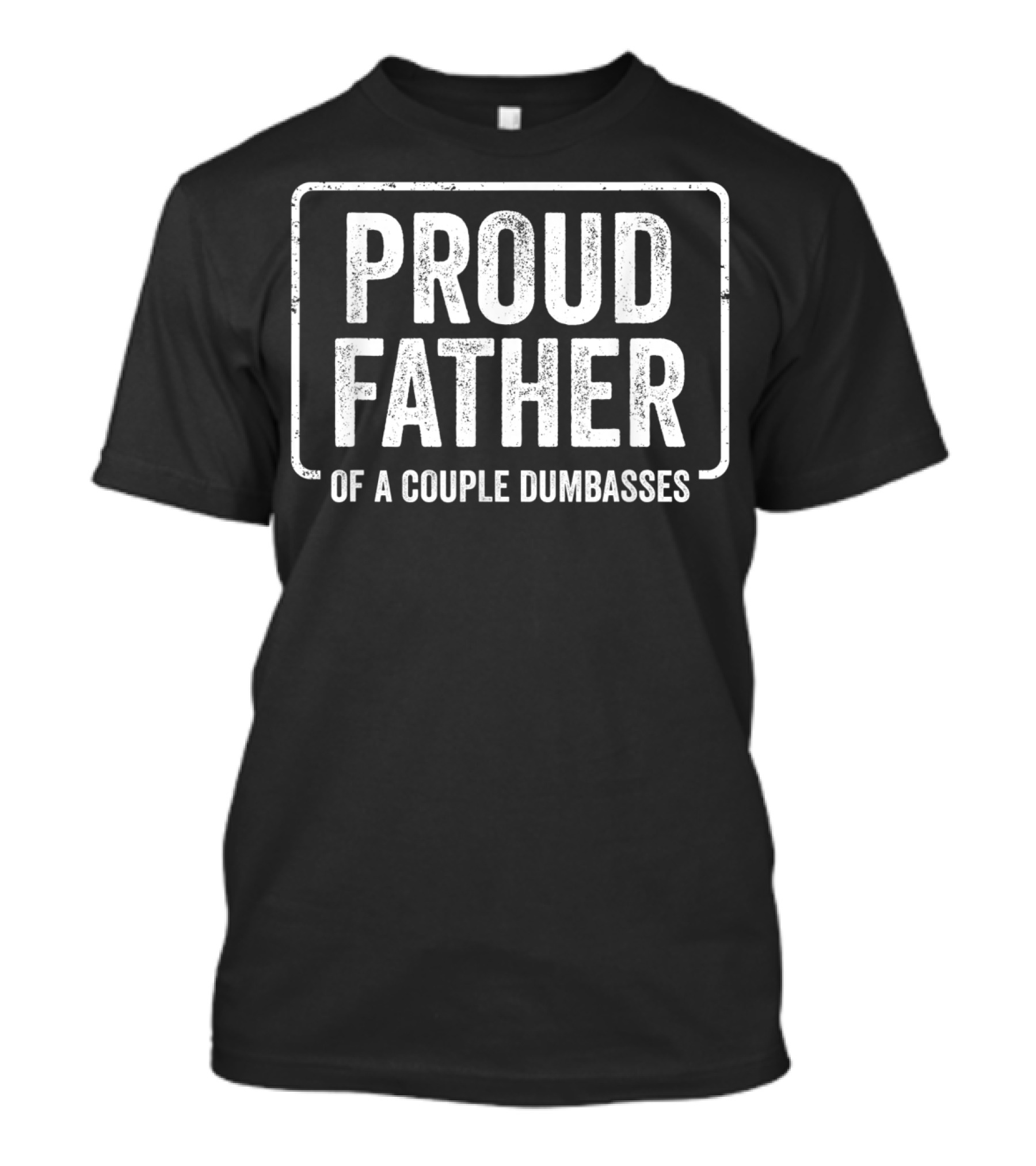 Proud Father Of A Couple Dumbasses Fathers Day Funny Parent T-Shirt