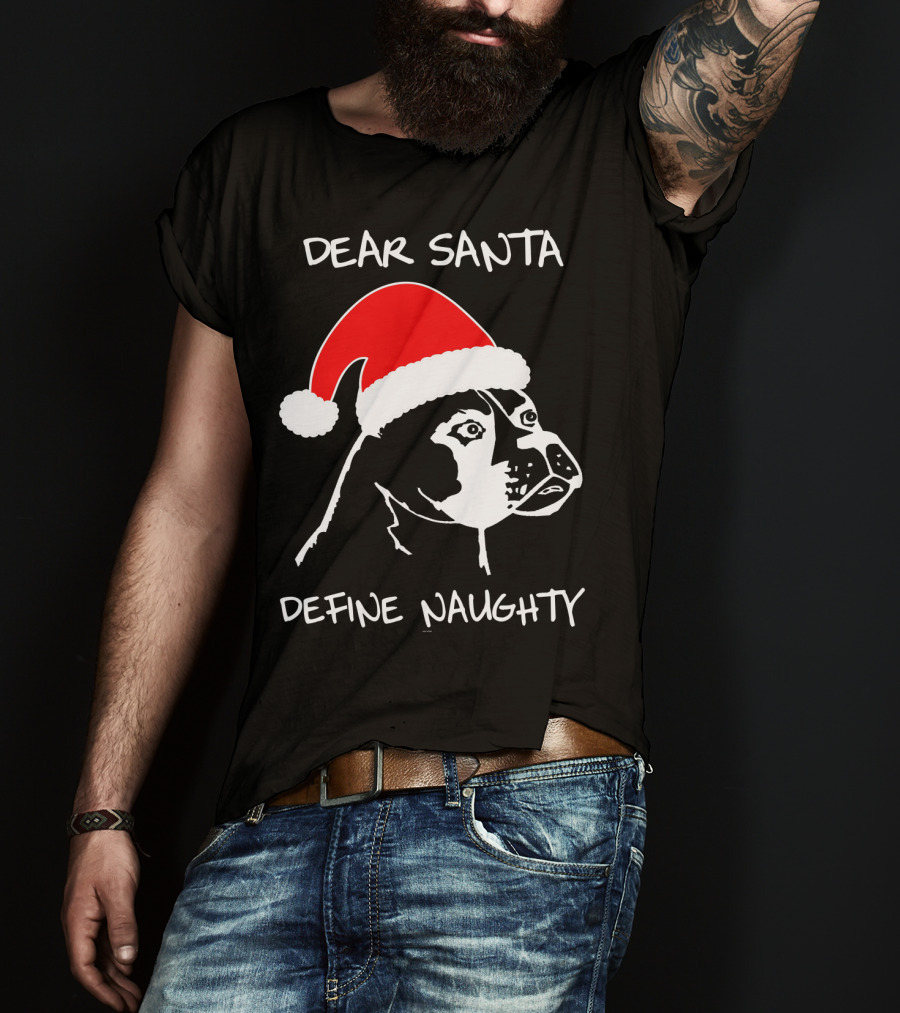 Dear Santa Define Naughty Boxer Funny Ugly Xmas Dog Lovers T-Shirt