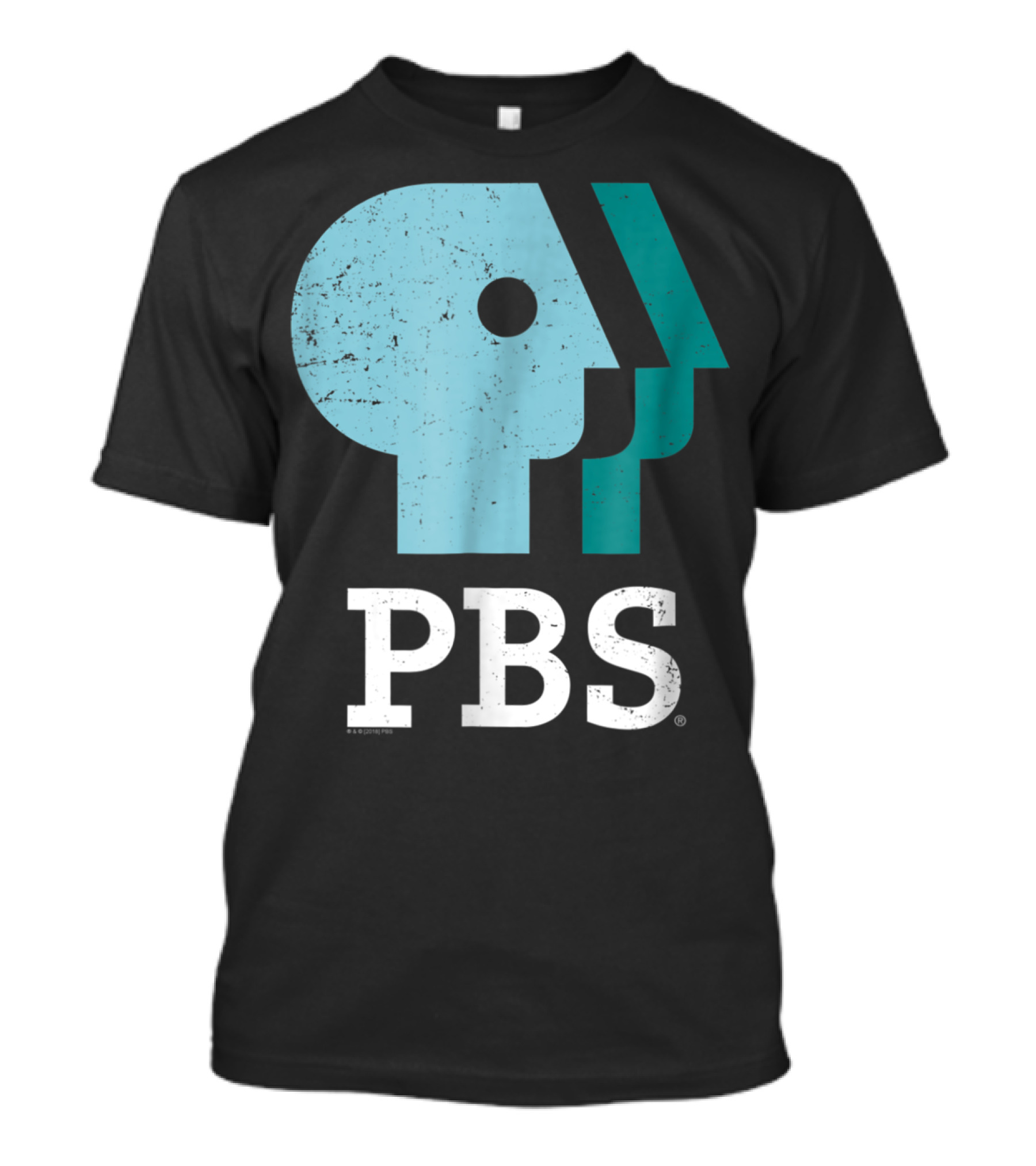 PBS Distressed Sky Mint Pistachio T-Shirt