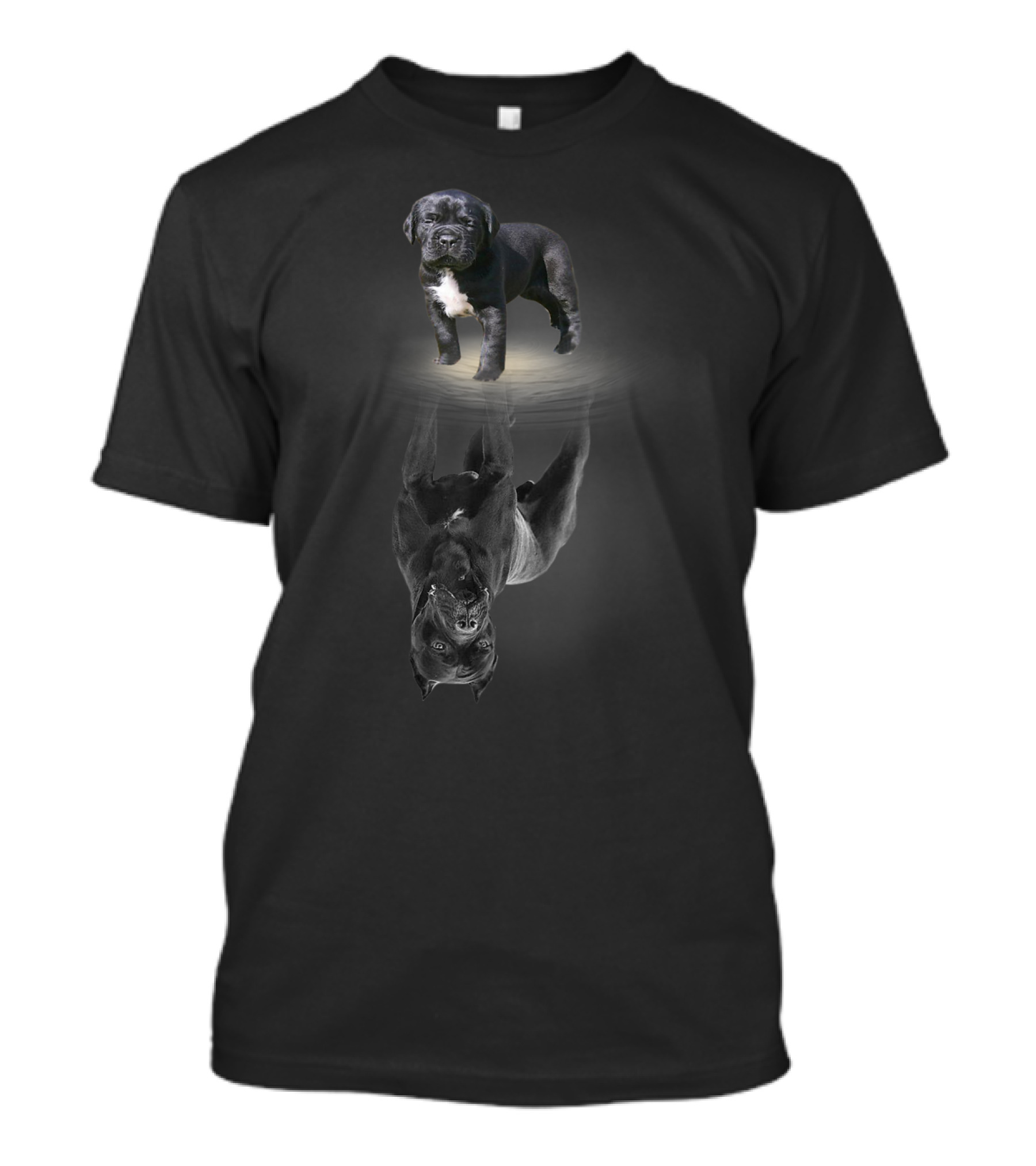 Cane Corso Dog Lovers Cane Corso Mastiff Reflection T-Shirt