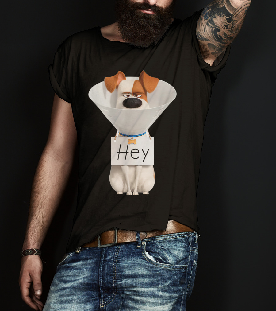 Hey Max Dog Cone Humor T-Shirt