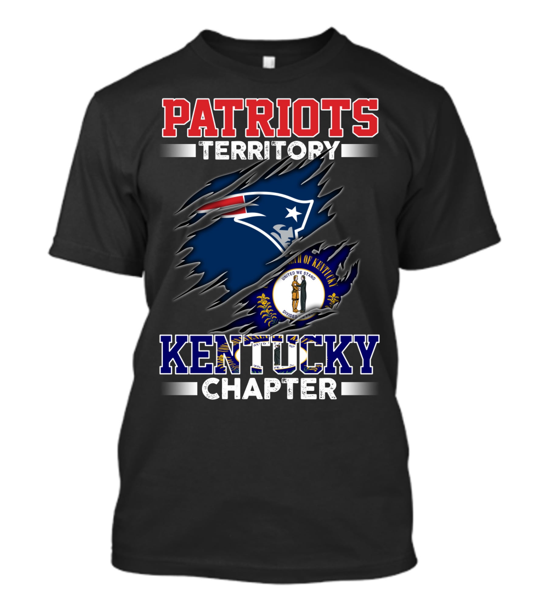 PATRIOTS Territory Kentucky Chapter United We Stand T-Shirt