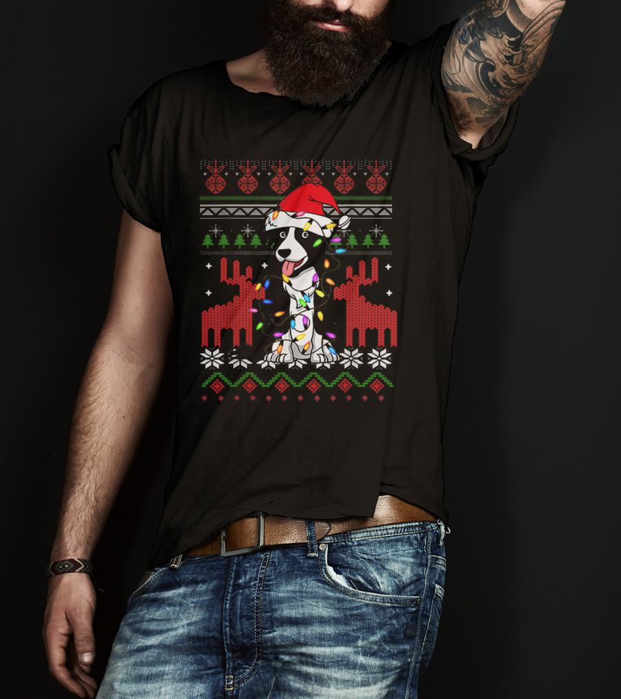Border Collie Christmas Lights Santa Hat T-Shirt
