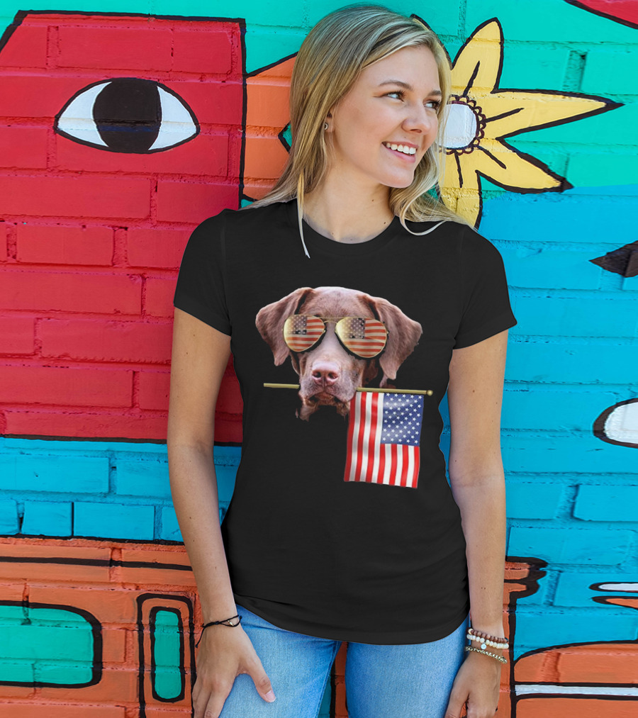 Pitbull Dog With American Flag Sunglasses And Flag T-Shirt