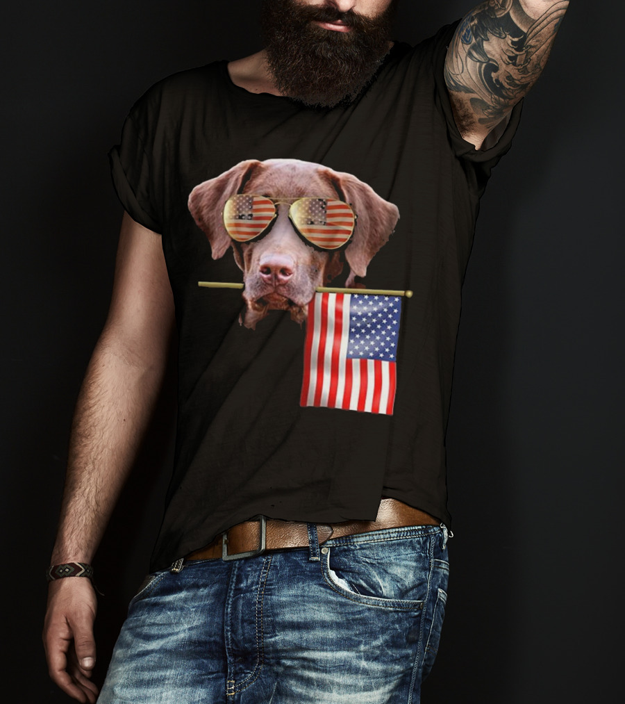 Pitbull Dog With American Flag Sunglasses And Flag T-Shirt