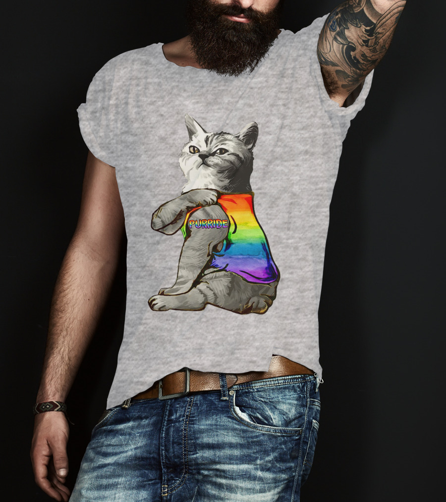 Purride Cat In Rainbow Colors T-Shirt