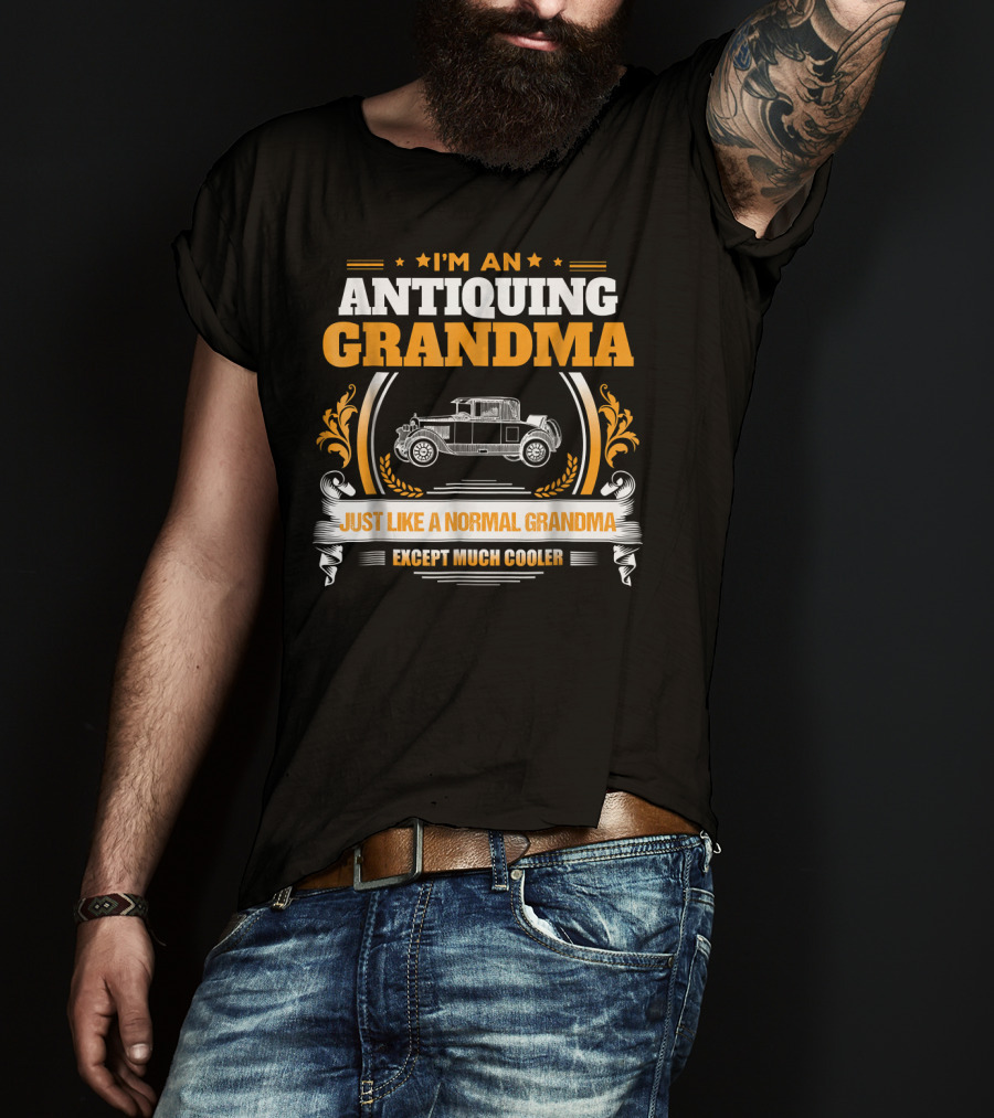 I'm An Antiquing Grandma Just Like A Normal Grandma Except Much Cooler T-Shirt