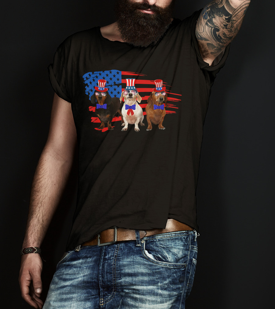 American Patriotic Dachshund Lover July Independence Day Trio T-Shirt