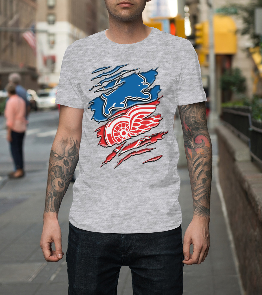 Detroit Red Wings Buffalo Sabres Vintage Mashup T-Shirt