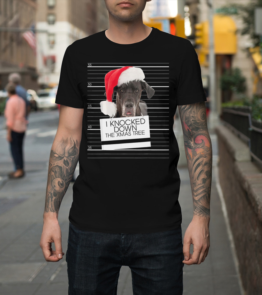 Great Dane Dog I Knocked Down the Xmas Tree Santa Hat Holiday Mugshot T-Shirt