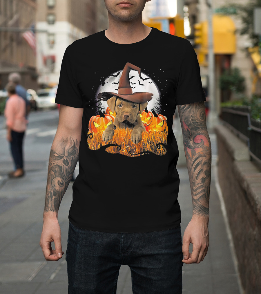 Cute Gold Pit Bull Witch with Pumpkins and Bats on Halloween Night T-Shirt