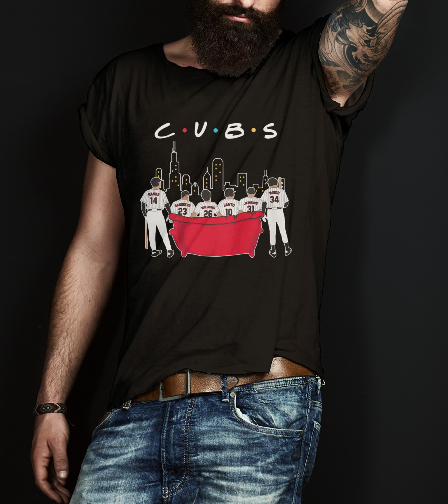 Cubs Friends Chicago Skyline Banks Sandberg Williams Santo Jenkins Wood T-Shirt