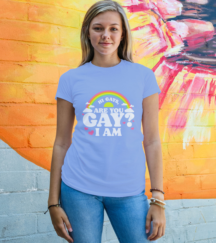 Chrissy Chlapecka Merch Hi Gays Are You Gay I Am With Rainbow And Hearts T-Shirt