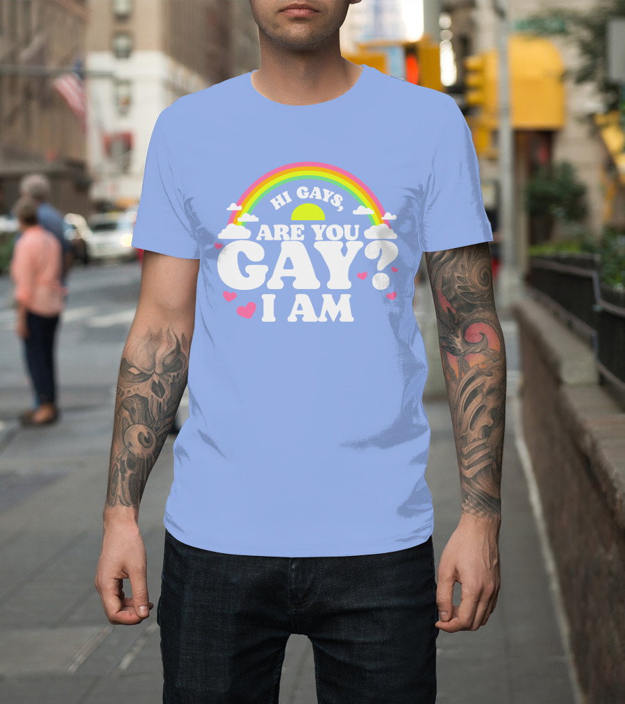 Chrissy Chlapecka Merch Hi Gays Are You Gay I Am With Rainbow And Hearts T-Shirt