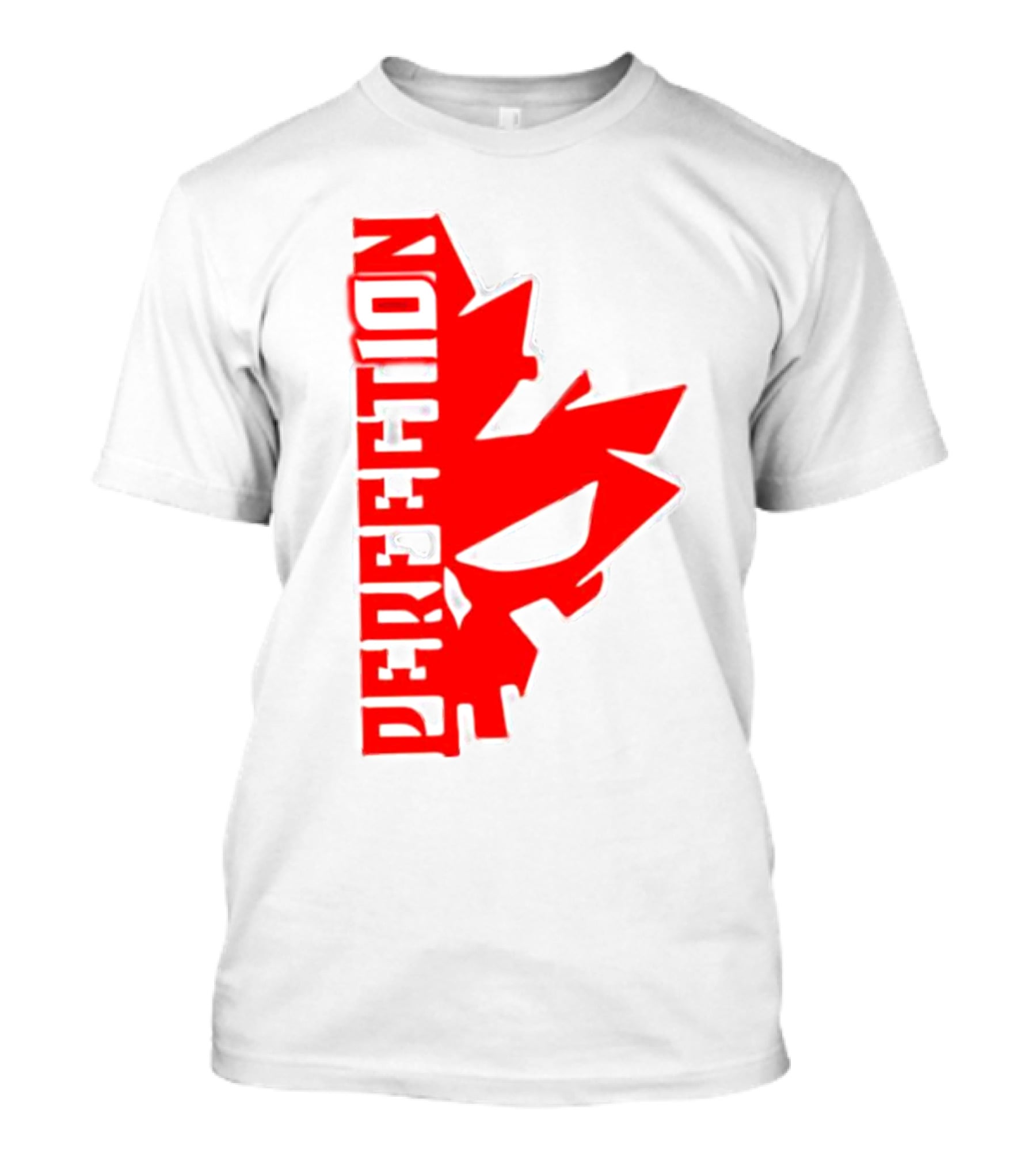 PERFECTION 10 Half Skull T-Shirt