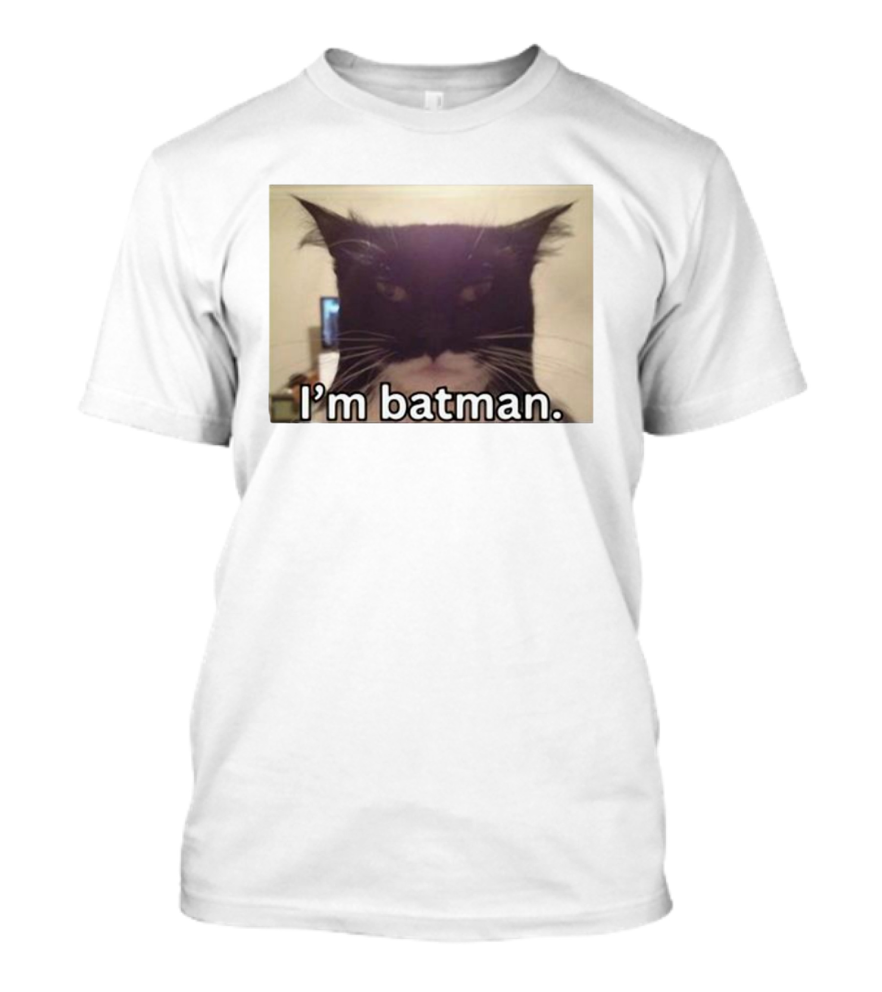 Bruh I'm Batman Cat Meme T-Shirt