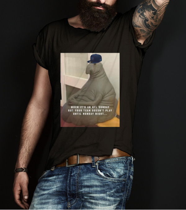 Houston Texans NFL Sunday Waiting Meme With Hat Wearing Creature T-Shirt