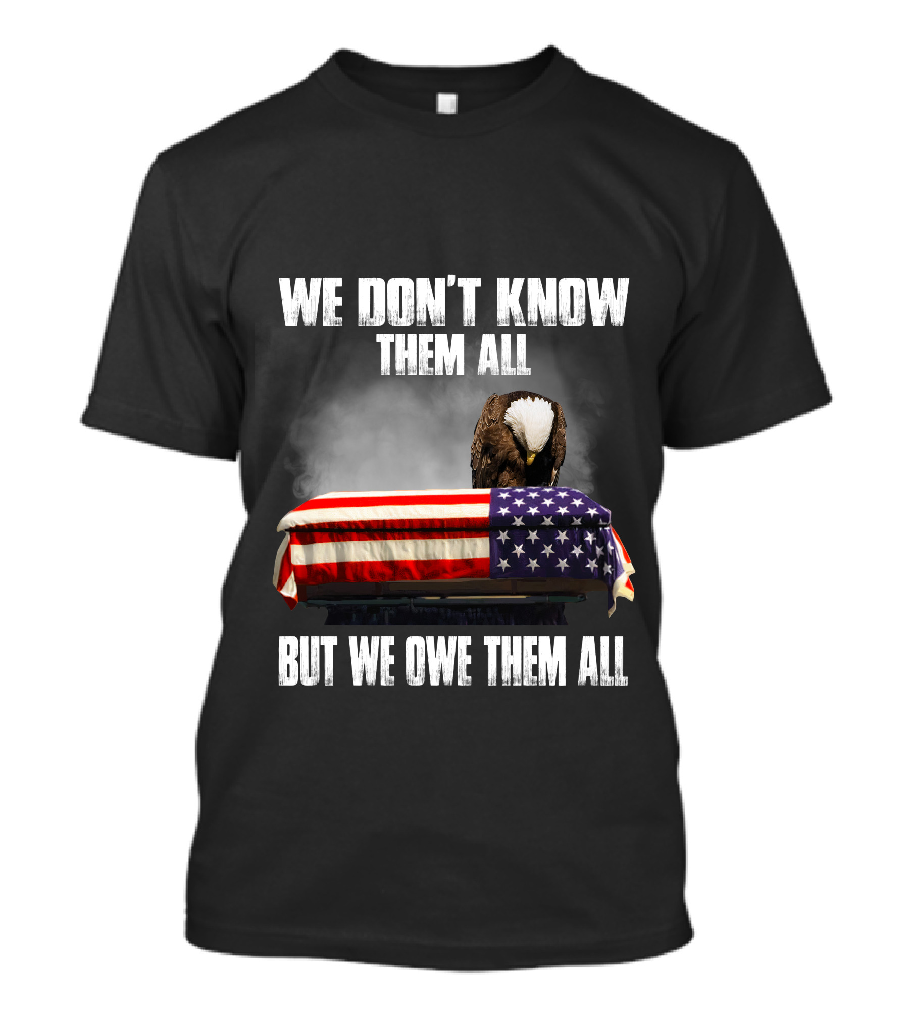 We Don't Know Them All But We Owe Them All American Eagle Day T-Shirt