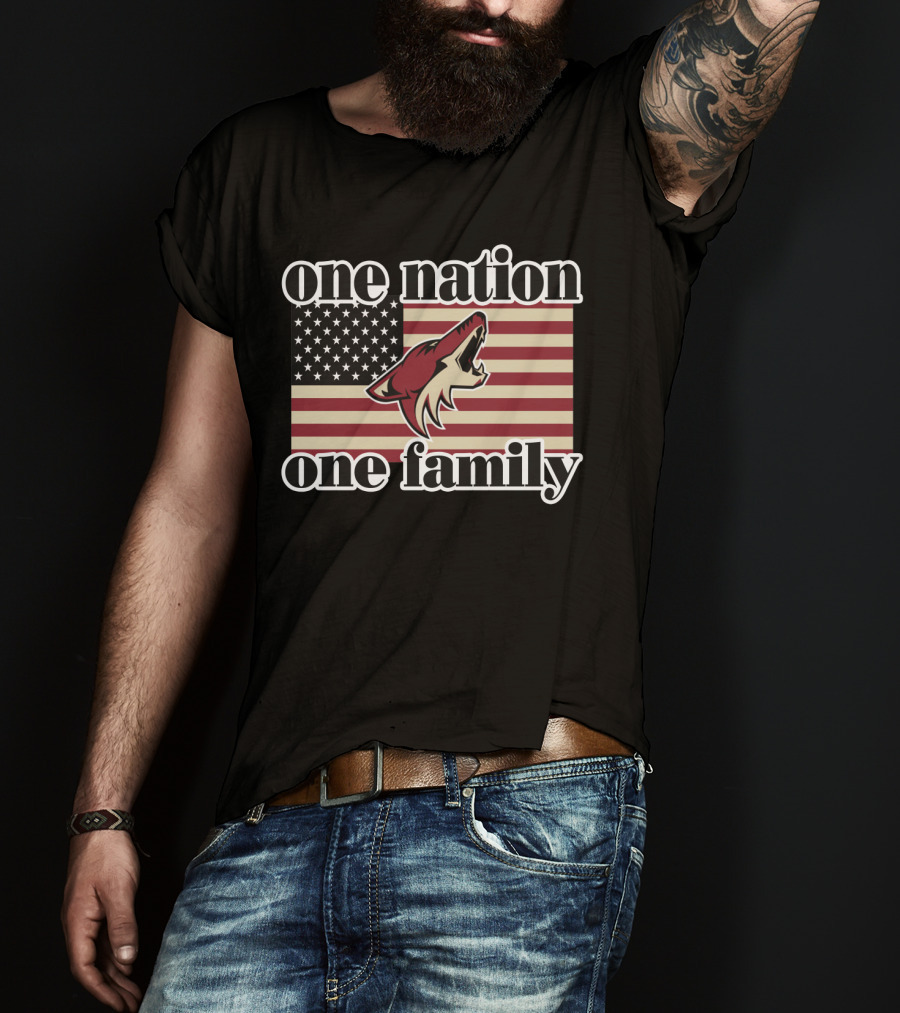 One Nation One Family Arizona Coyotes American Flag T-Shirt