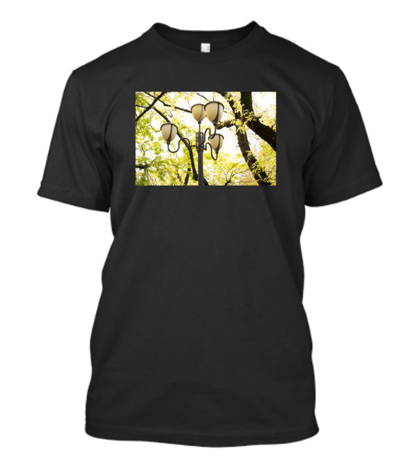 Street Light Chandelier Autumn Leaves Tree Canopy T-Shirt