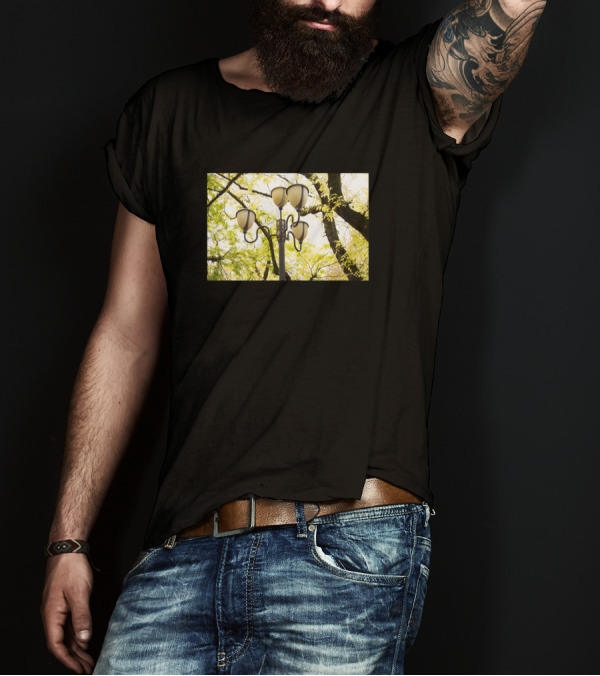 Street Light Chandelier Autumn Leaves Tree Canopy T-Shirt