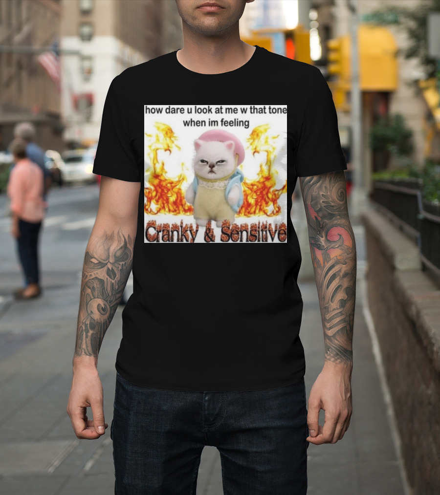 Cranky and Sensitive How Dare U Look At Me W That Tone When I'm Feeling T-Shirt