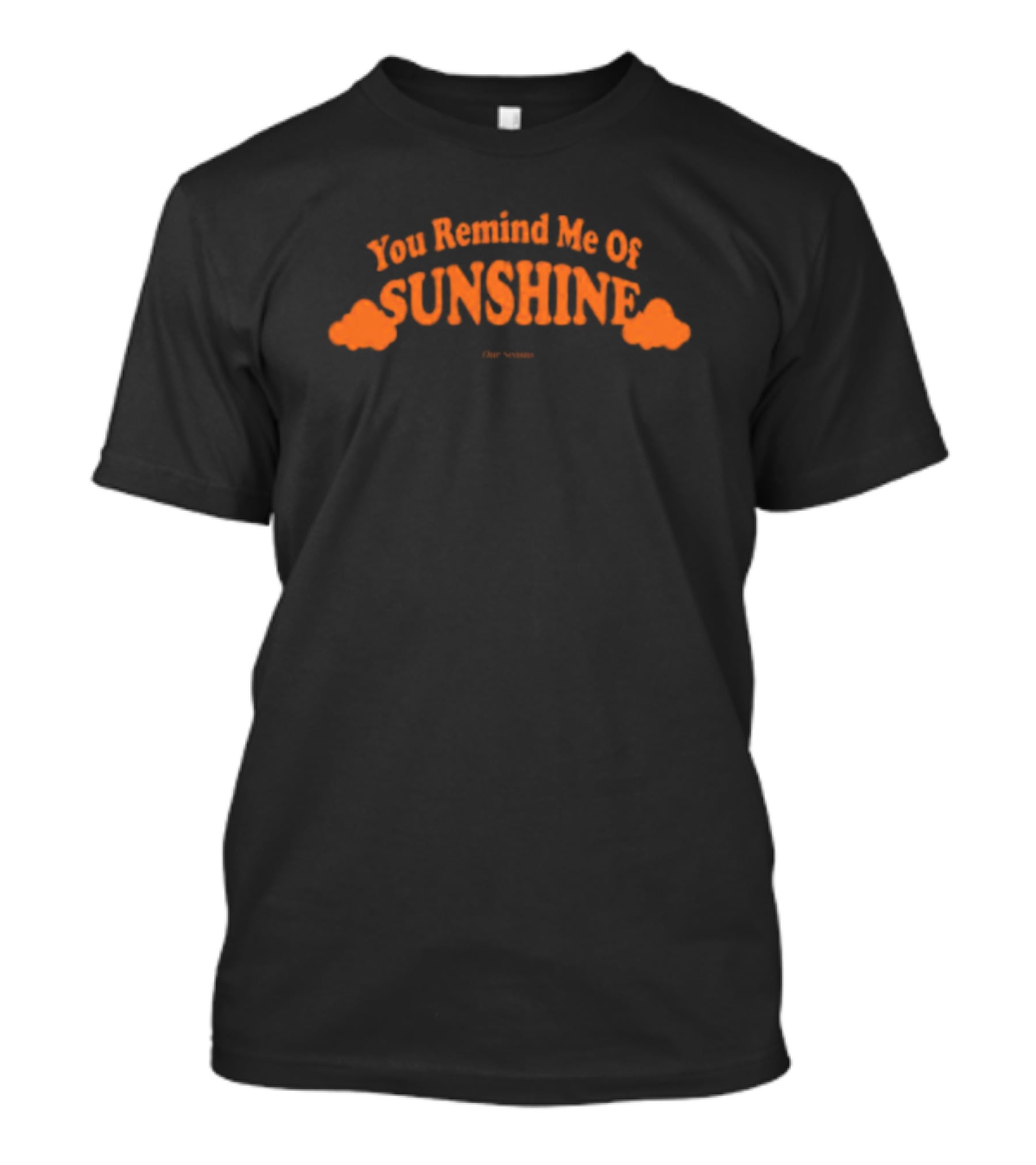 You Remind Me Of Sunshine Our Seasons T-Shirt