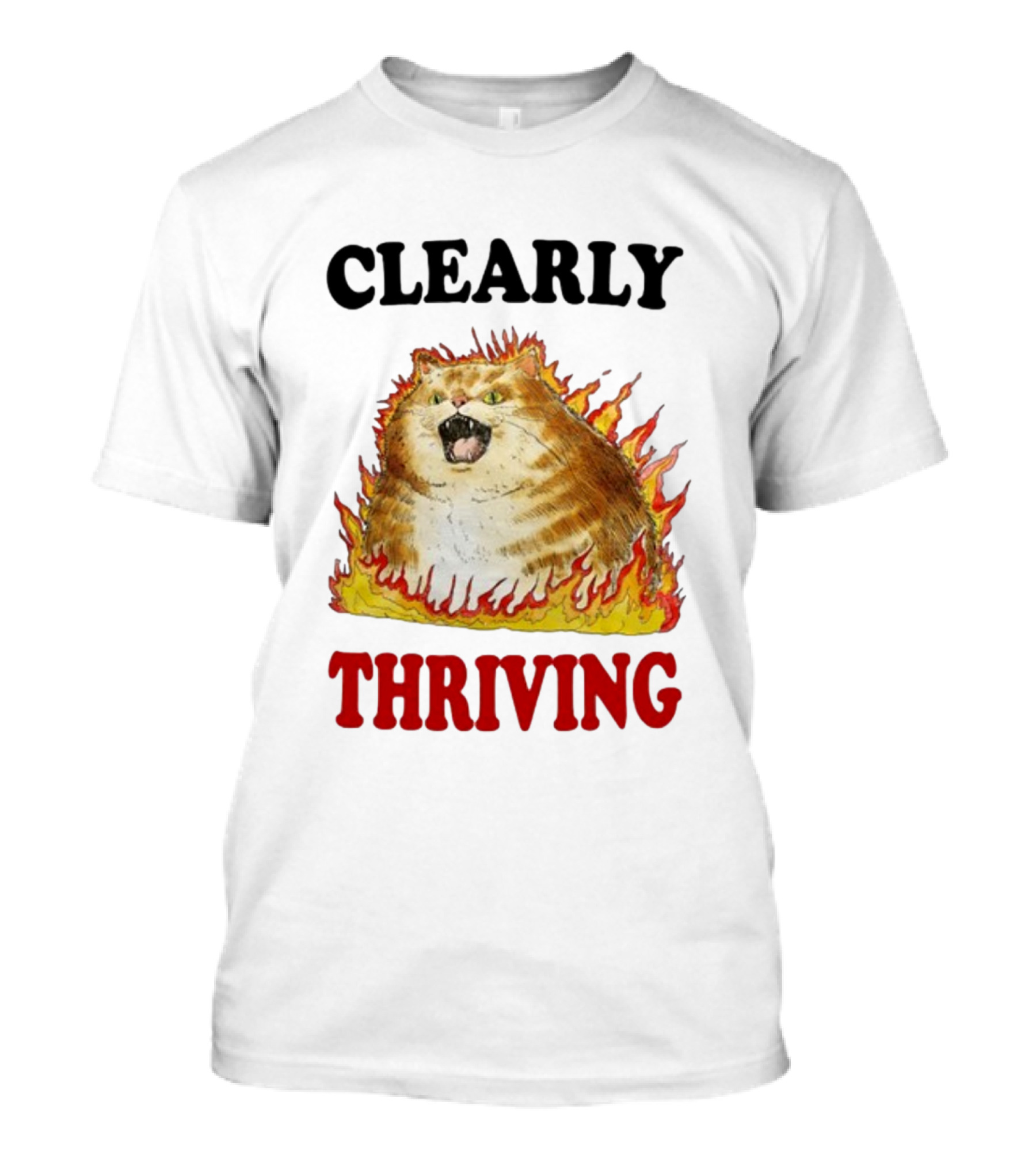 CLEARLY THRIVING Fluffy Cat In Flames T-Shirt