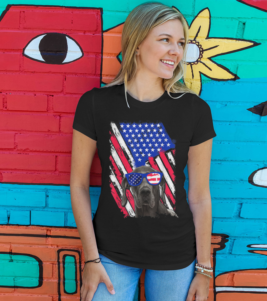 Vintage Distressed Great Dane With American USA Flag Sunglasses T-Shirt