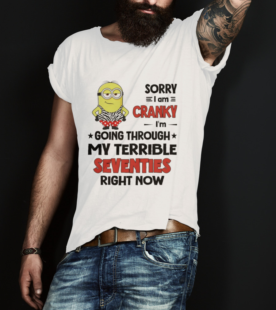 Sorry I Am Cranky Going Through My Terrible Seventies Minion T-Shirt