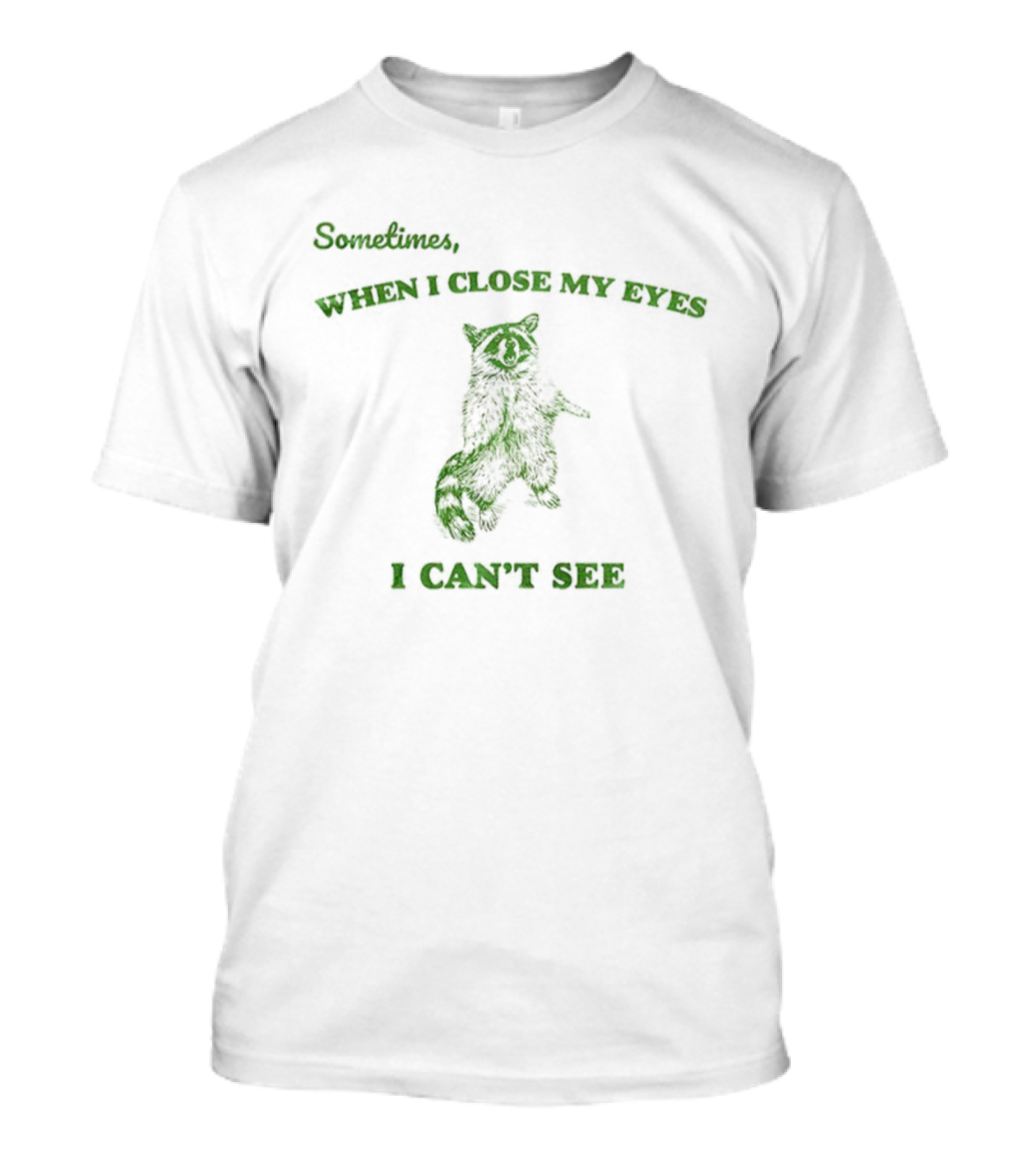 Sometimes When I Close My Eyes I Can’t See Vintage Raccoon T-Shirt