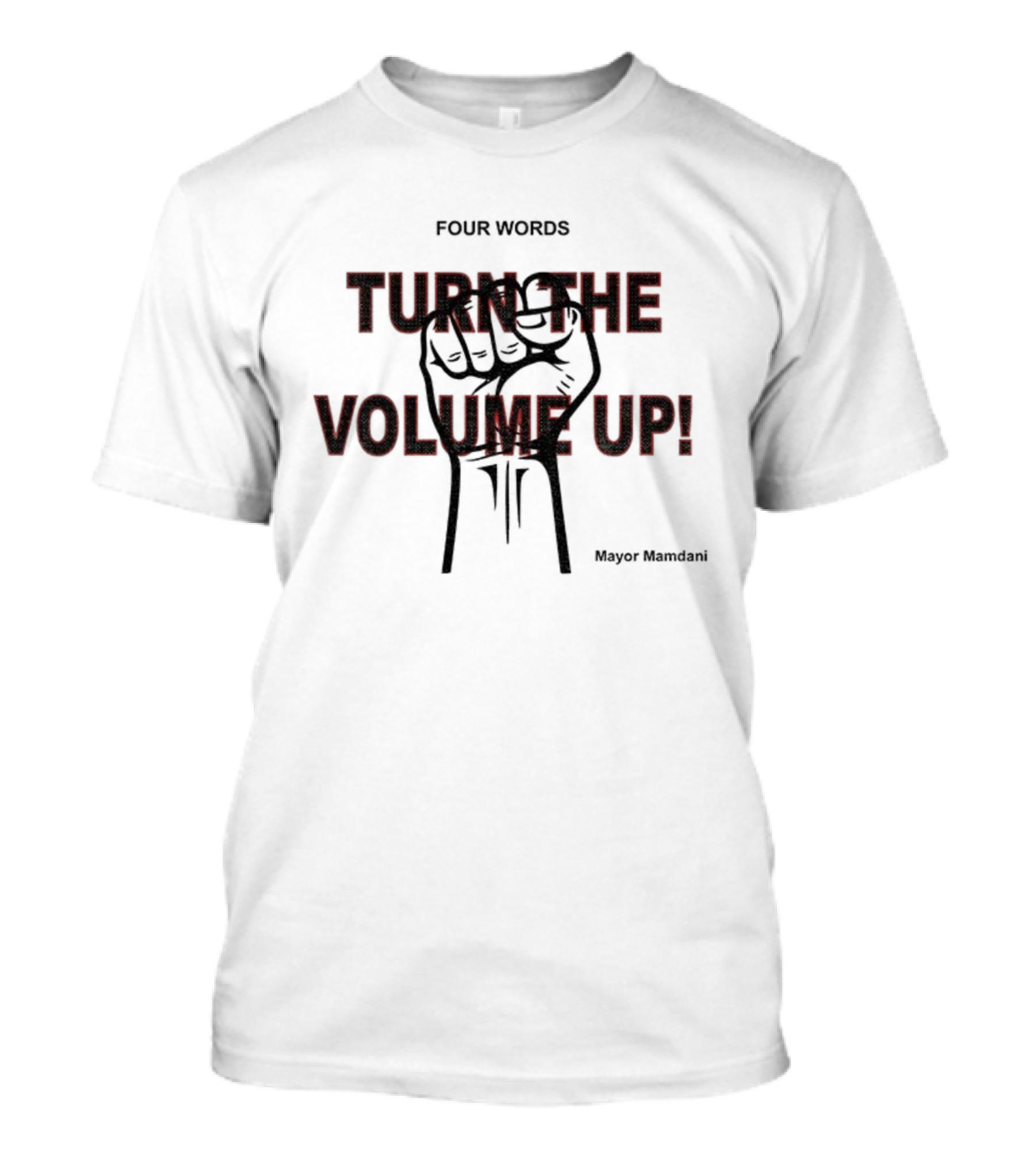Turn The Volume Up NYC Mayor Zohran Mamdani Democratic Socialist Four Words T-Shirt