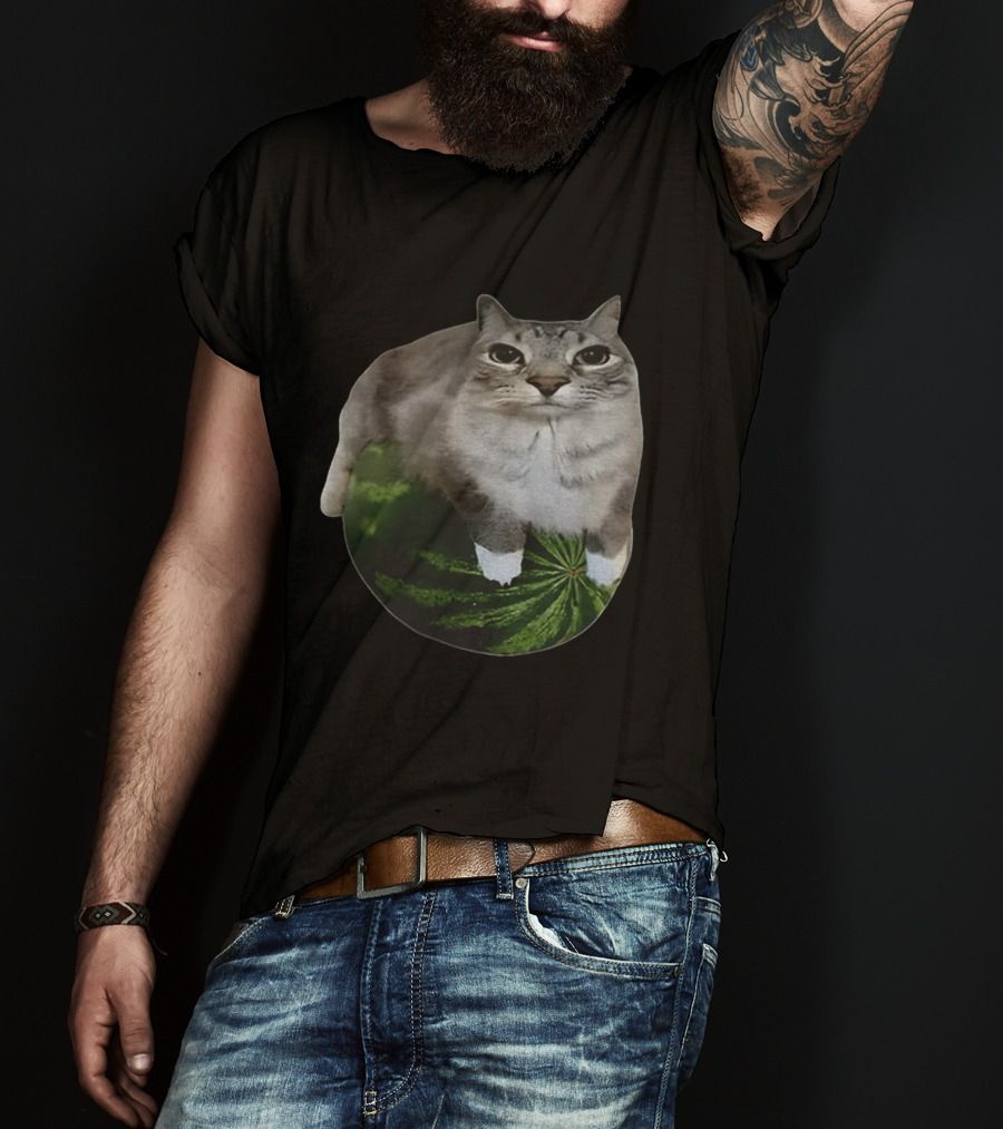 Watermelon Cat Meme Humor Collage T-Shirt