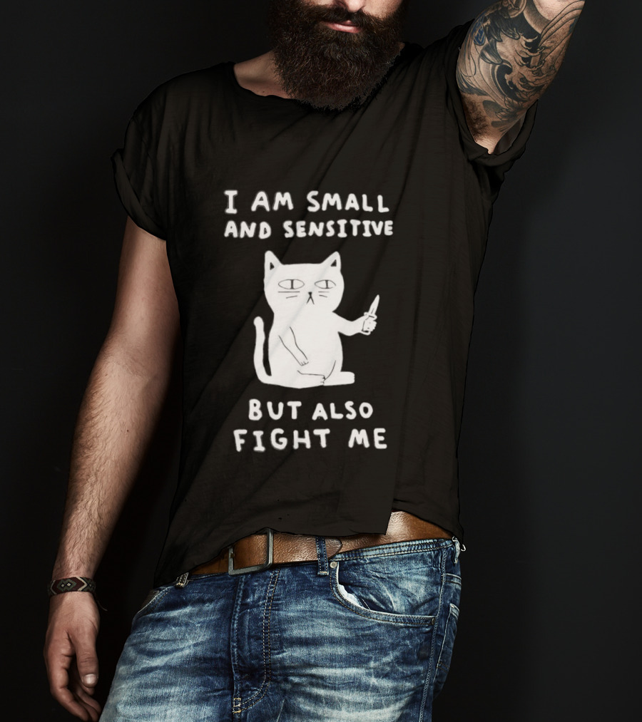 Cat I Am Small And Sensitive But Also Fight Me Playful Humor T-Shirt