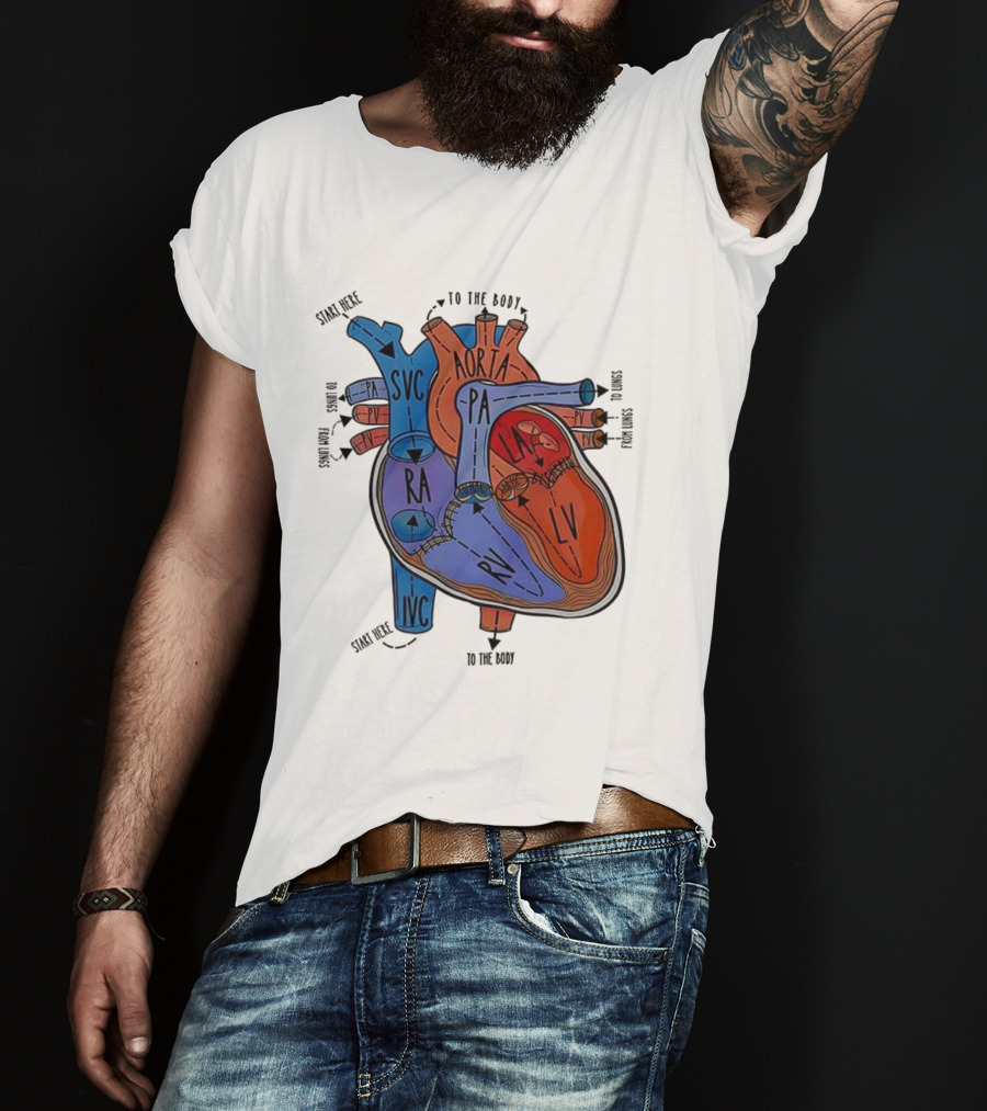 Heart Anatomy Blood Flow SVC RA RV IVC Aorta PA PV LA LV T-Shirt