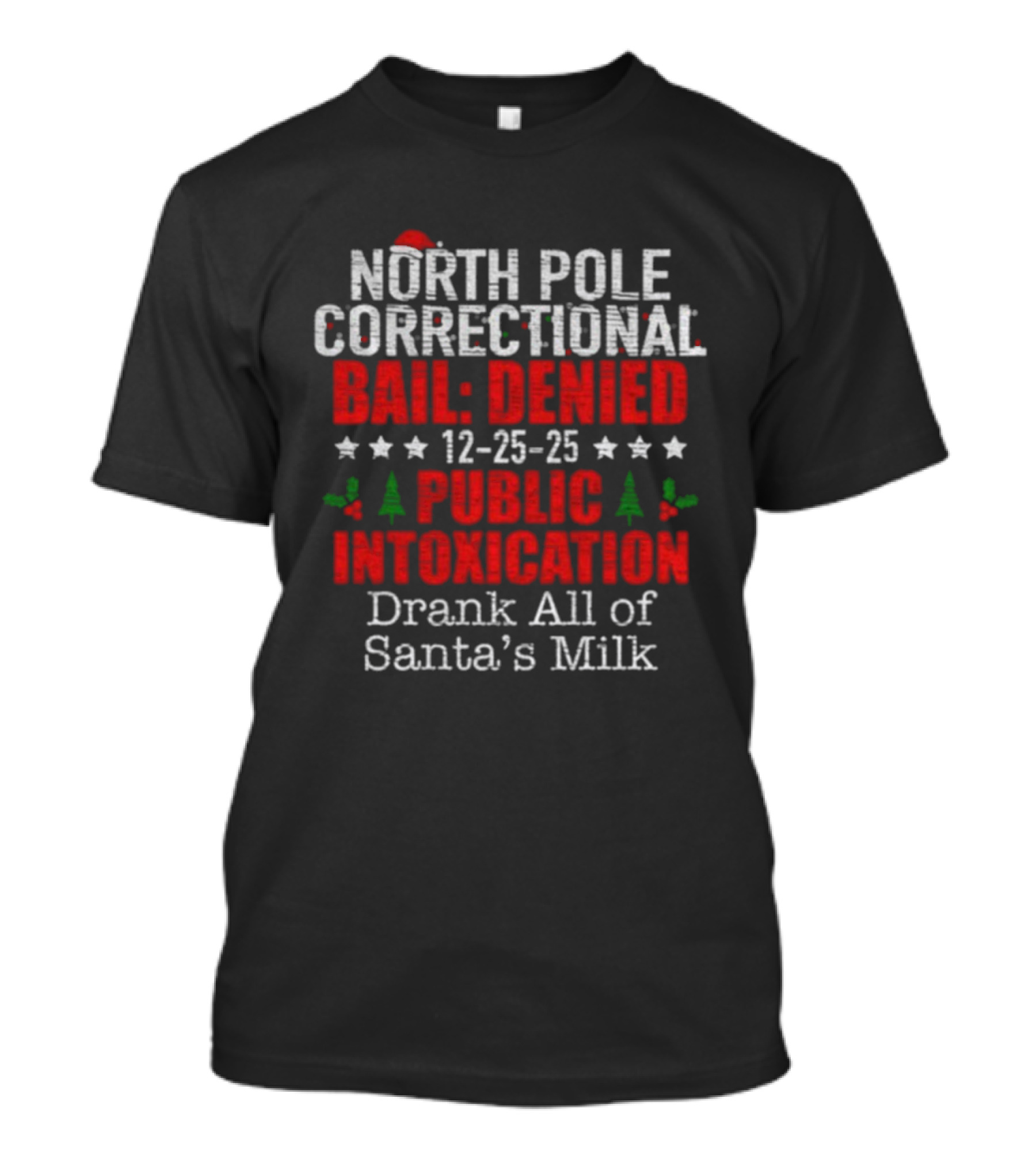 North Pole Correctional Bail Denied Public Intoxication Drank All Of Santa's Milk Christmas 12-25-25 T-Shirt