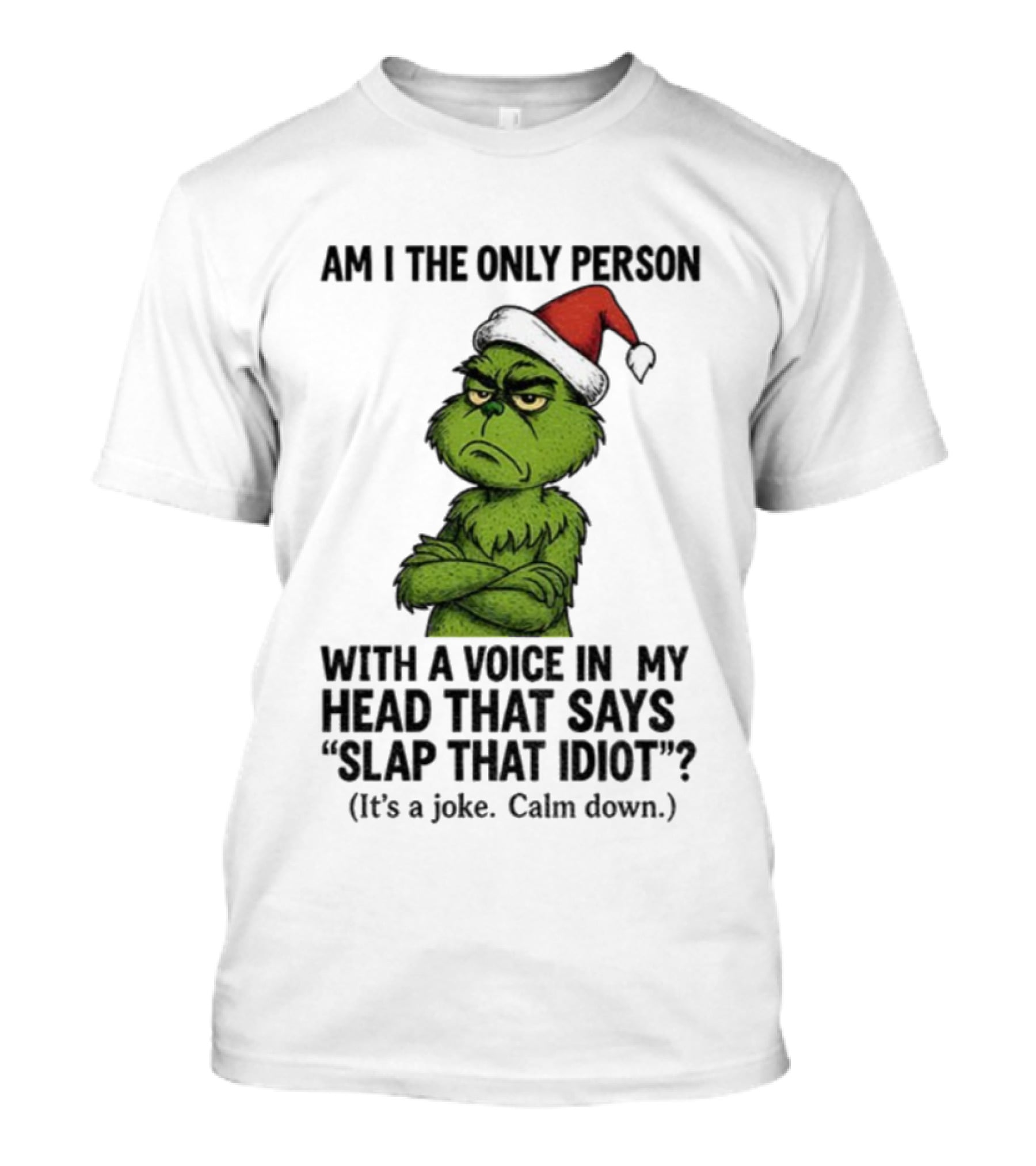 Grinch Santa Hat Am I The Only Person With A Voice In My Head That Says Slap That Idiot Christmas T-Shirt