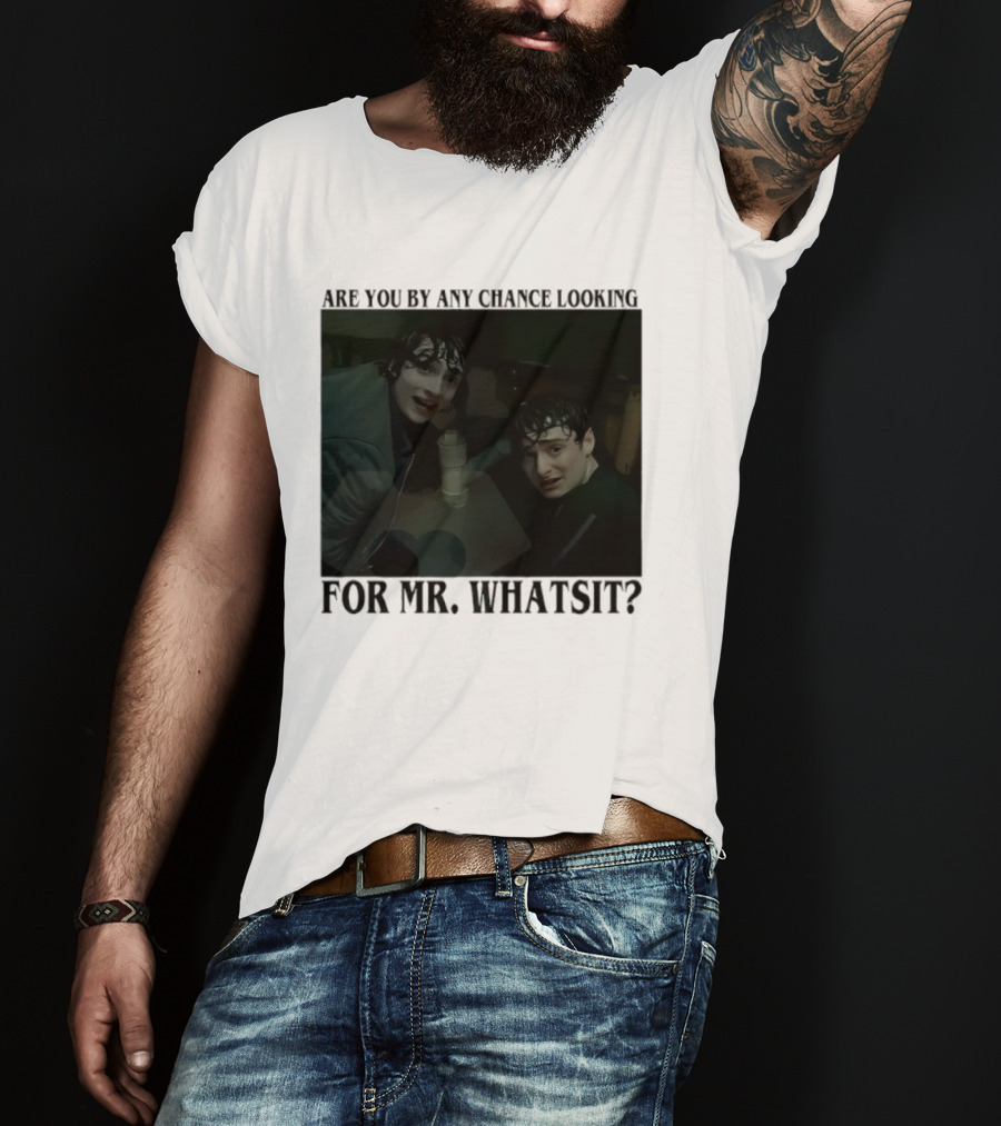 Mike And Will Are You By Any Chance Looking For Mr. Whatsit Stranger 1980s Adventure Fantasy T-Shirt