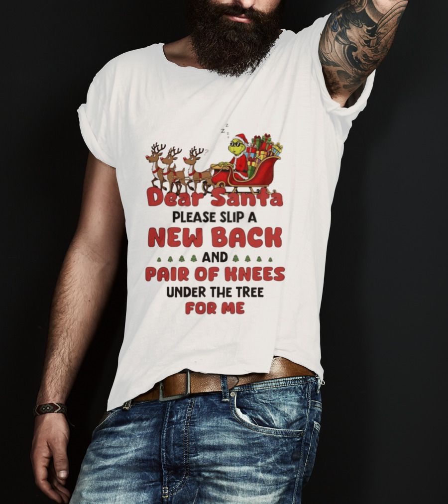 Dear Santa Grinch New Back Pair Of Knees Christmas Humor T-Shirt