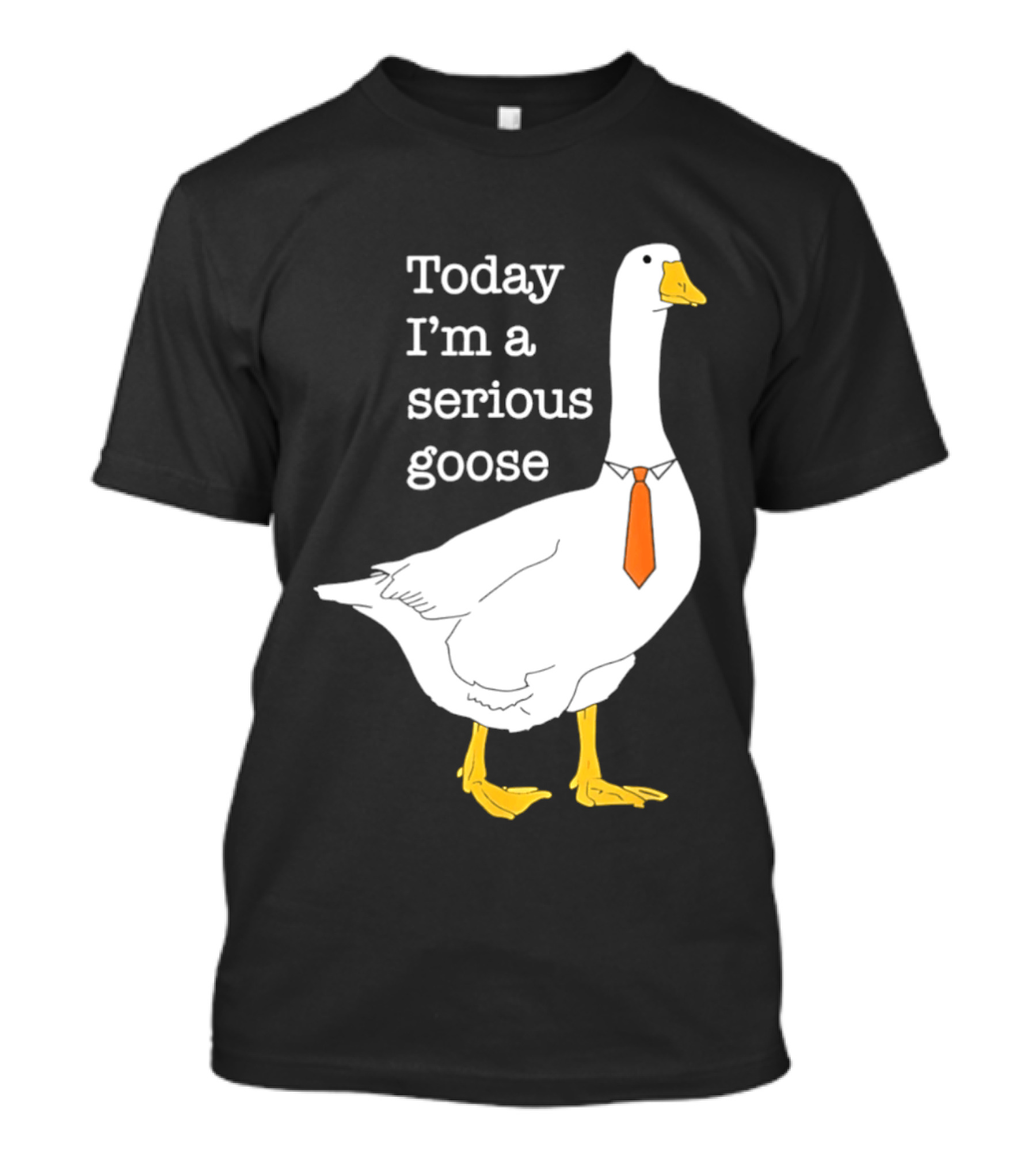 Today I'm A Serious Goose T-Shirt