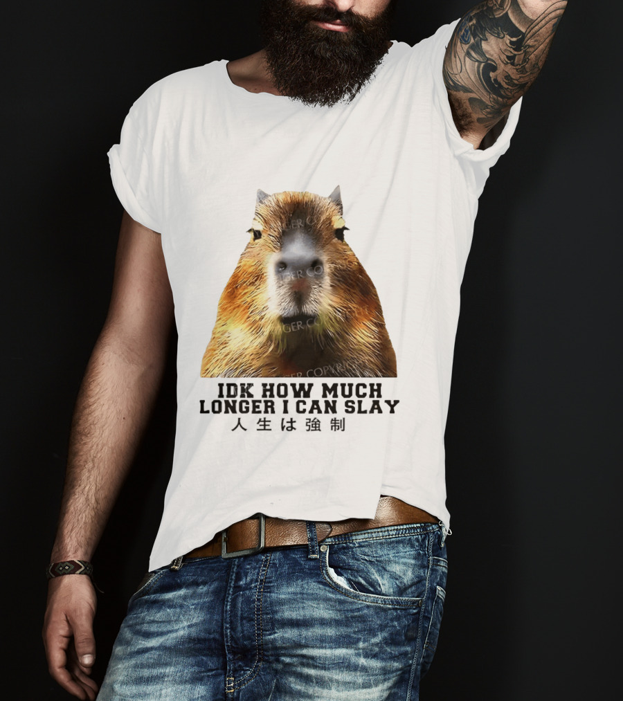 Capybara Idk How Much Longer I Can Slay T-Shirt