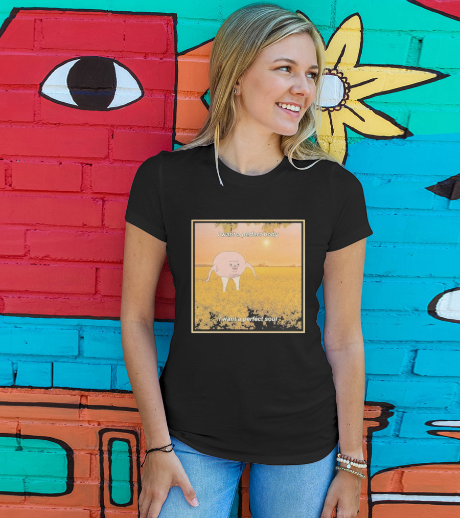 I Want A Perfect Body I Want A Perfect Soul Sunset Parody T-Shirt