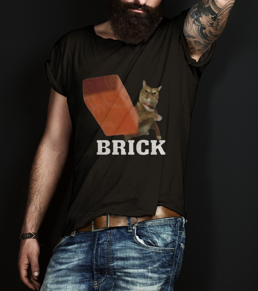 Funny Cat Brick Throw Meme T-Shirt