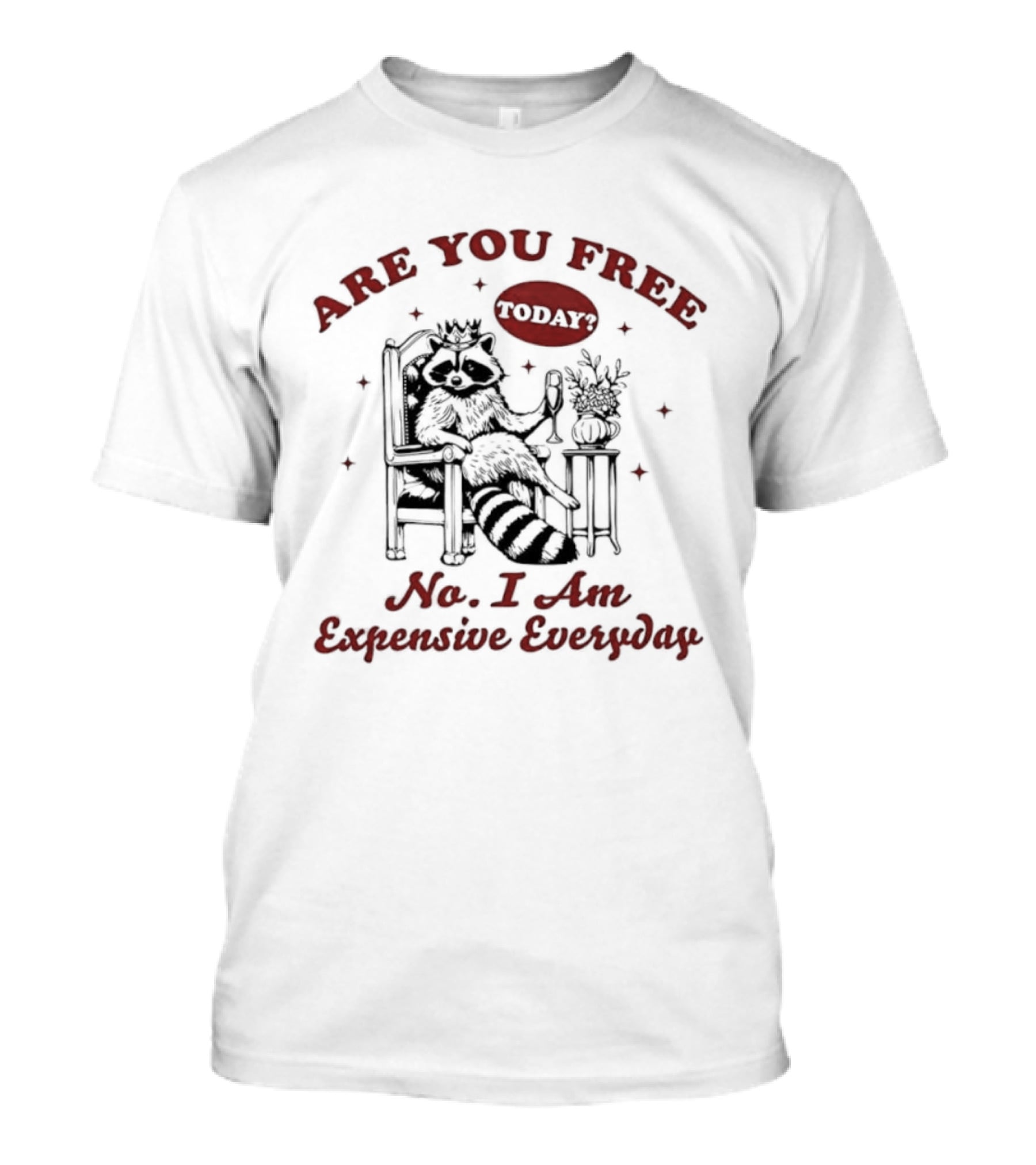 Are You Free Today No I Am Expensive Everyday Raccoon T-Shirt