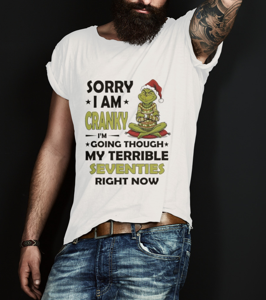 Sorry I Am Cranky Grinch Santa Hat Going Through My Terrible Seventies T-Shirt